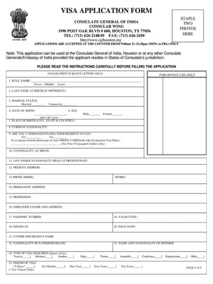 What is Indian mission in visa application form?