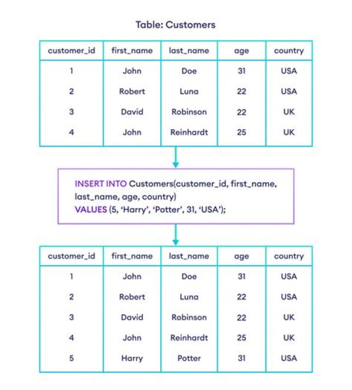 What is insert in database?