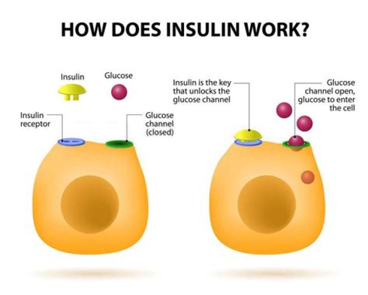 What is insulin NHS?