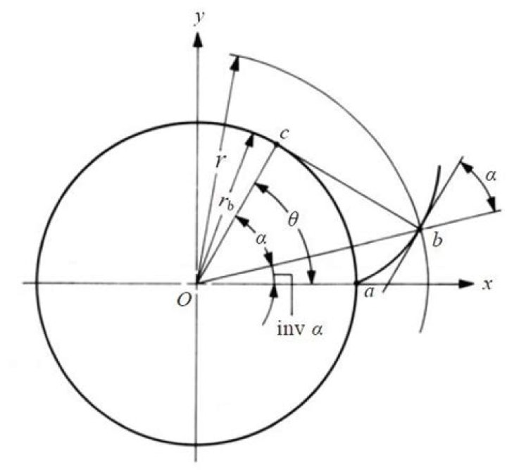 What is involute curve?
