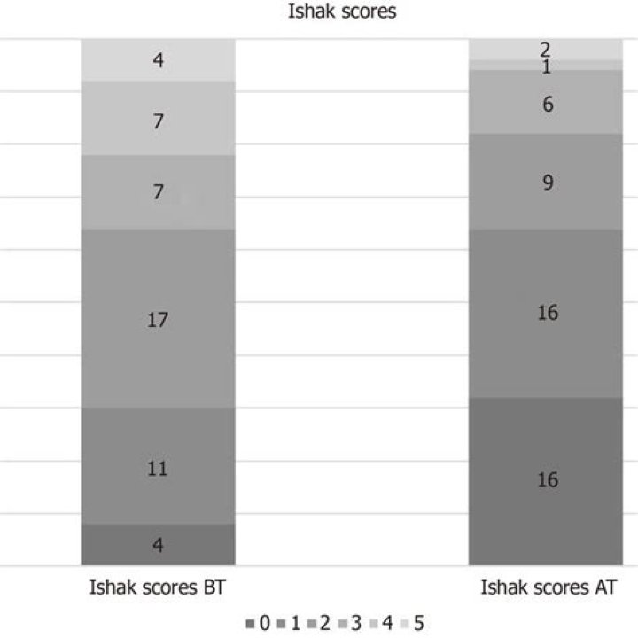 What is Ishak score?