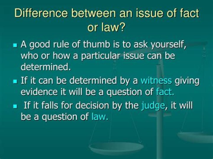 What is issue of fact and issue of law?