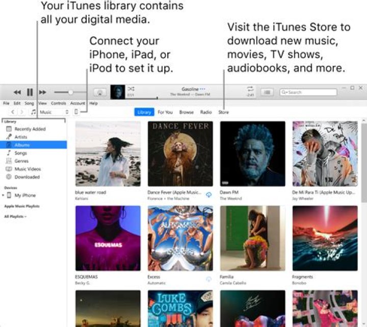 What is iTunes URL?