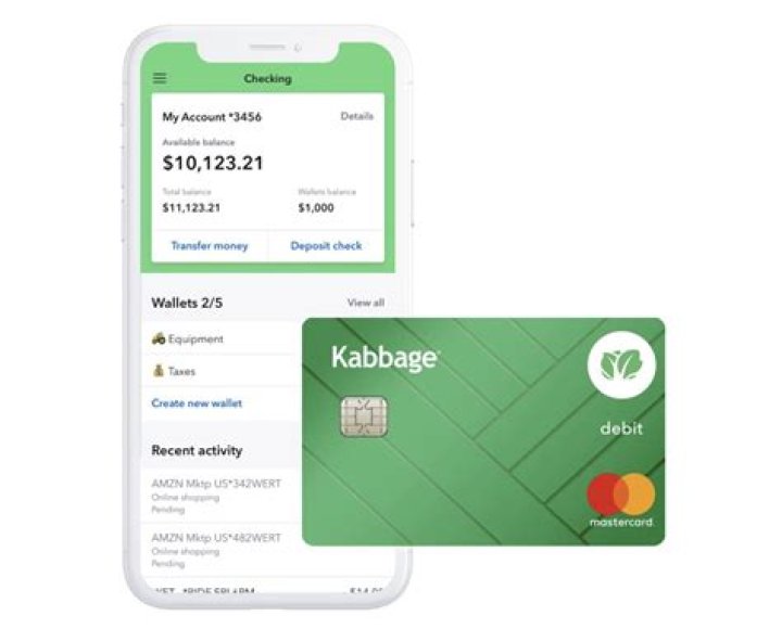 What is kabbage payment?