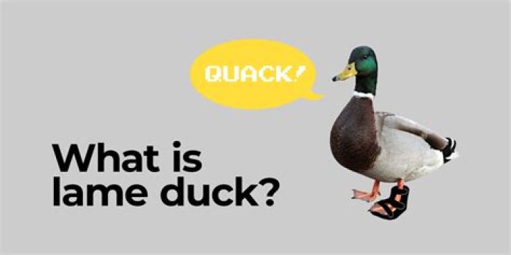 What is lame duck in stock market?