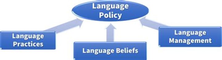 What is language policy explain?