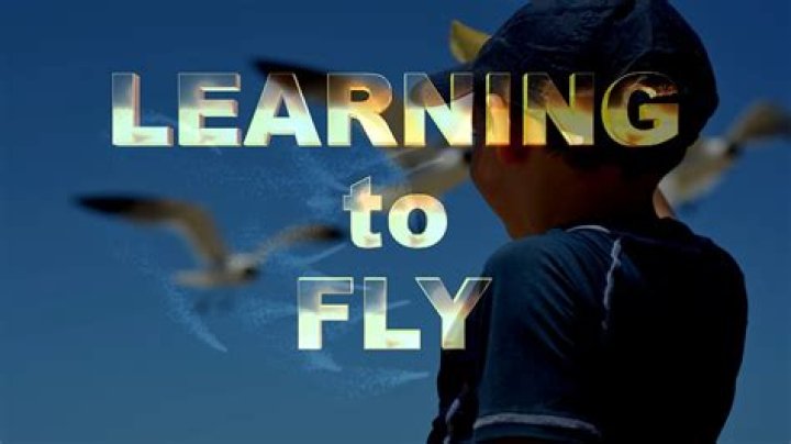 What is learning on the fly?