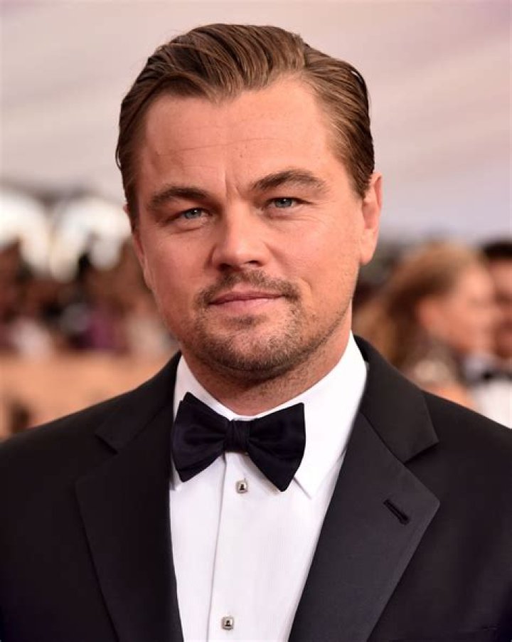What is Leonardo DiCaprio's face?