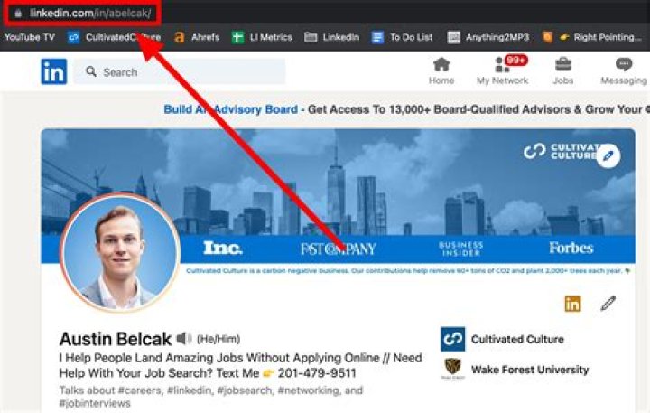 What is LinkedIn URL example?
