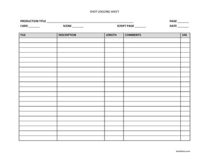 What is log sheet in video editing?