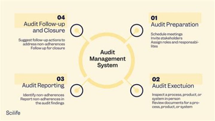 What is management audit and its importance?