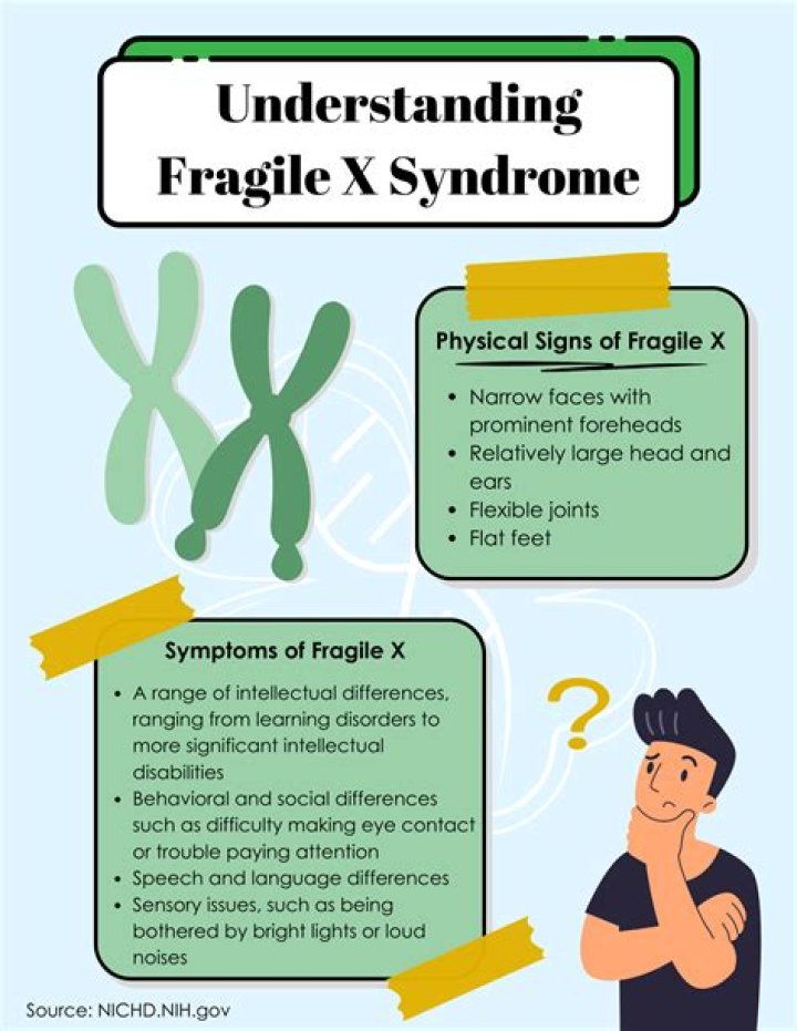 What is meant by fragile?