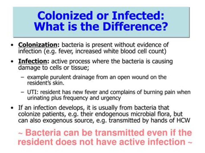 What is meant by infection and Colonisation?