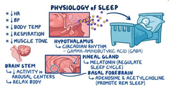 What is meant by internal representation State and physiology are all intimately interconnected?