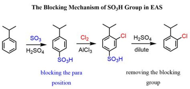 What is meant by Sulphonation?