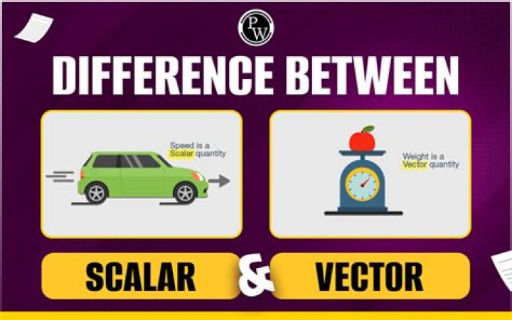 What is meant by vector and scalar?