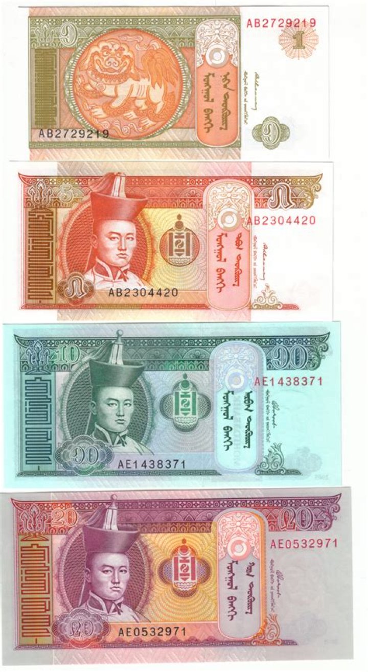 What is Mongolian money called?