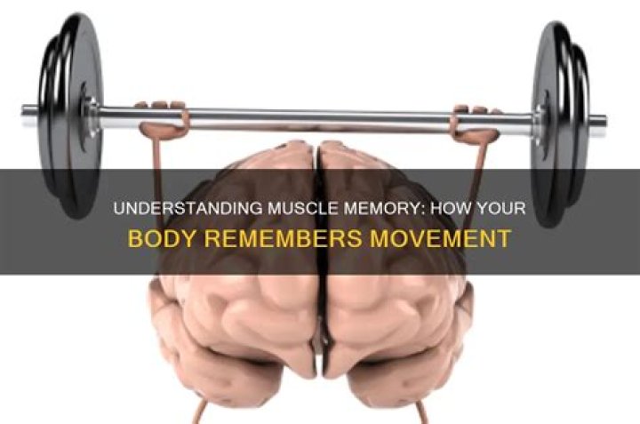 What is muscle memory and how does it work?