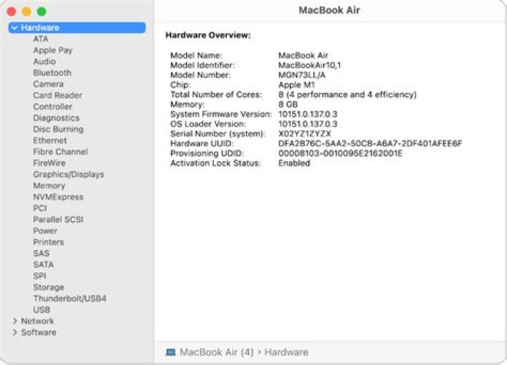 What is my model name?