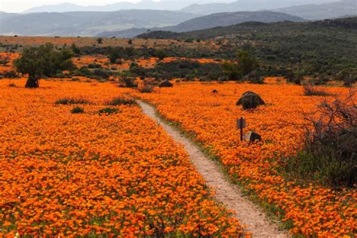 What is Namaqualand known for?