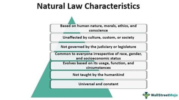 What is Natural Law essay?