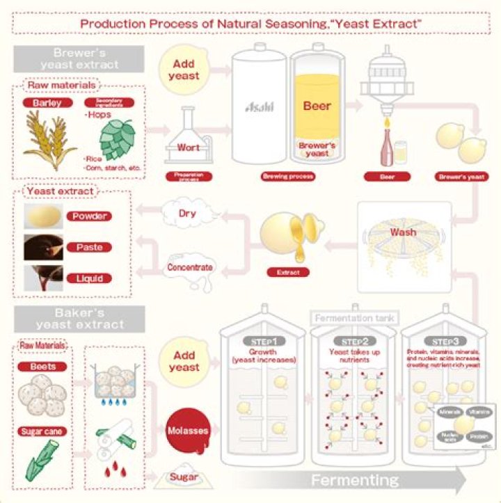 What is natural yeast extract?