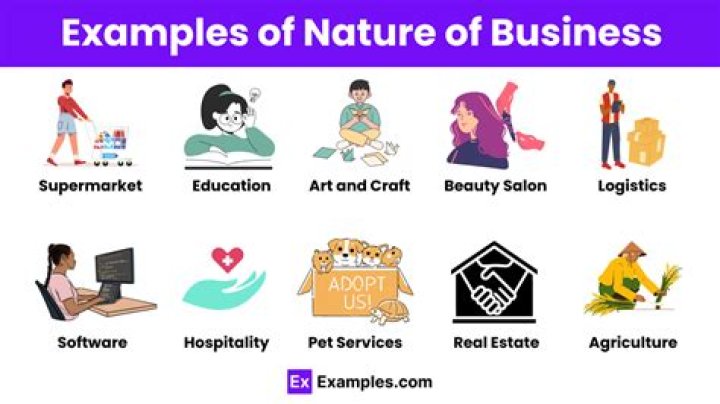 What is nature of the company?