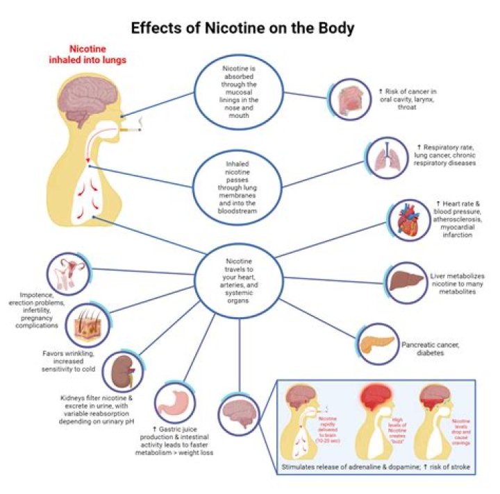 What is nicotinic effect?