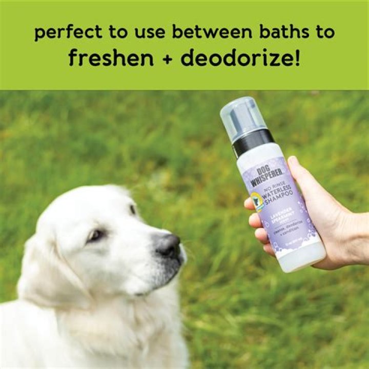 What is no rinse dog shampoo?