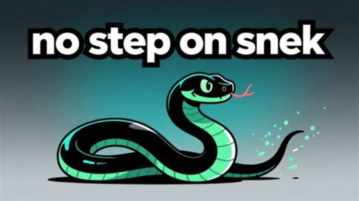 What is no step on SNEK?