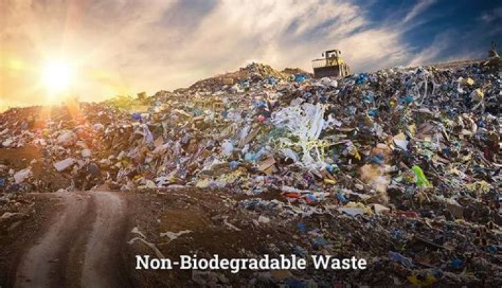What is non biodegradable pollution?