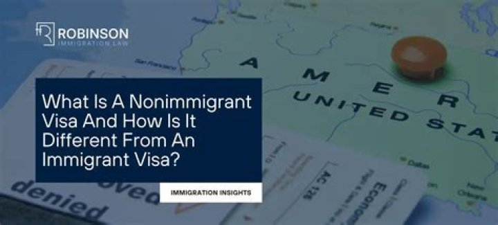 What is non immigrant visa status?