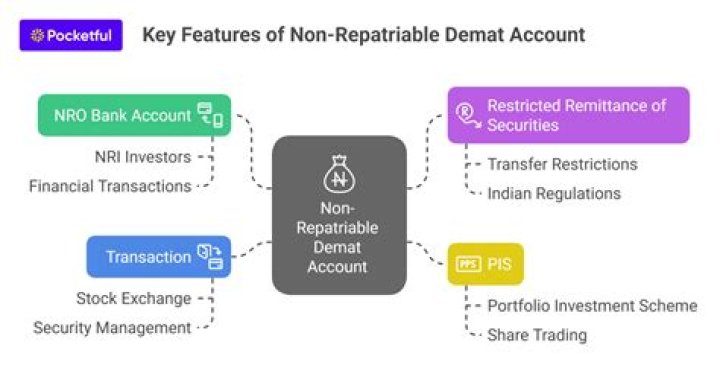 What is non repatriable demat account?