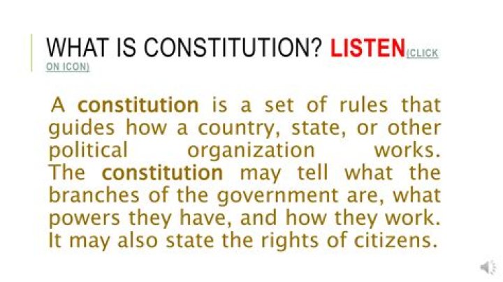 What is organization Constitution?
