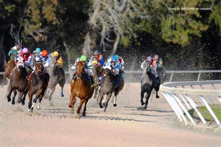 What is pace horse racing?