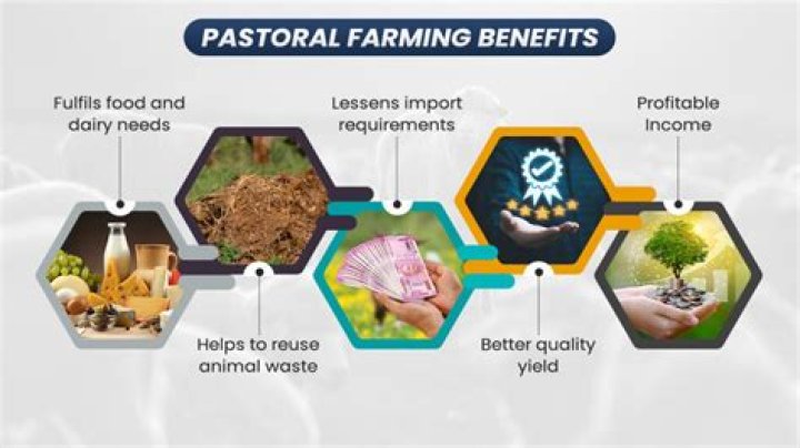 What is pastoral and arable farming?