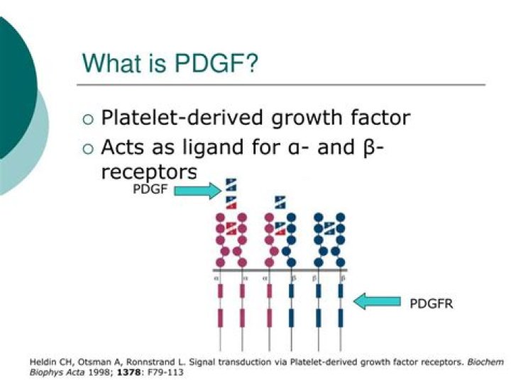 What is PDGF?