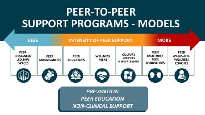 What is peer program?