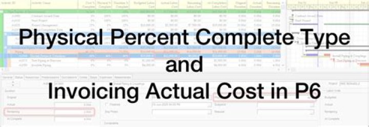 What is performance percent complete p6?