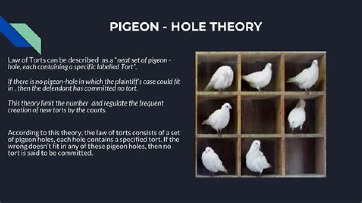 What is pigeon hole theory in torts?
