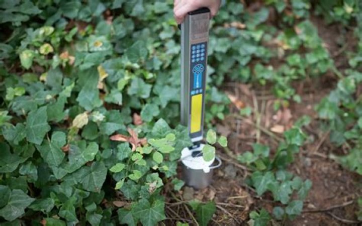 What is plant productivity?