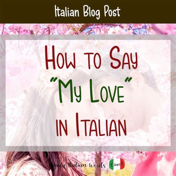 What is pleased to meet you in Italian?