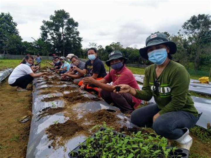 What is practical agriculture?