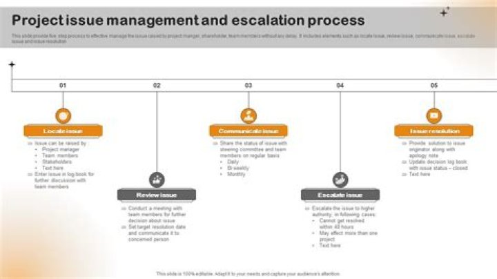 What is Project Issue Management?