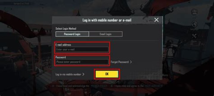 What is PUBG email address?