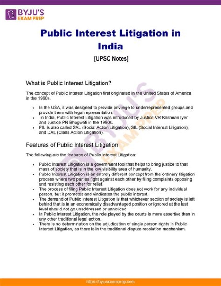 What is public interest litigation India Class 8?