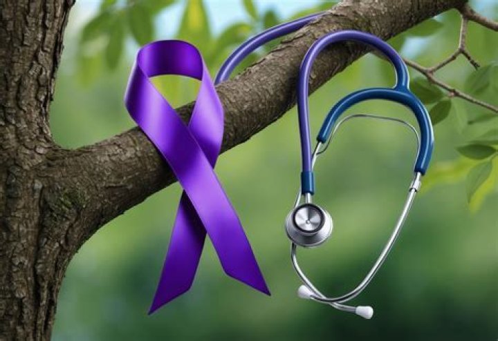 What is purple ribbon for on Jeopardy?