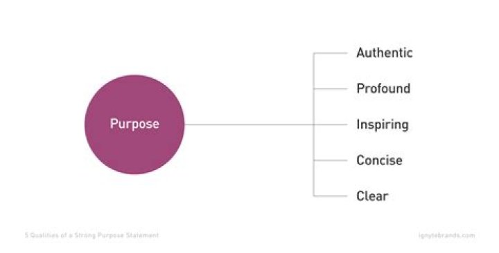 What is purpose example?
