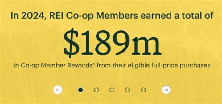 What is REI membership?