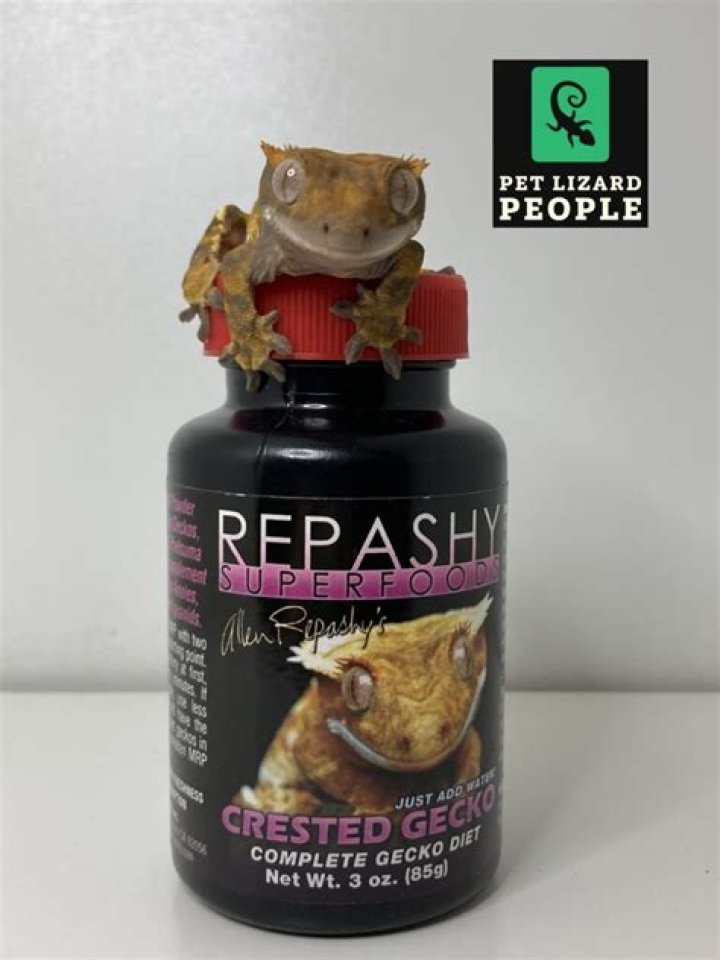 What is Repashy food?